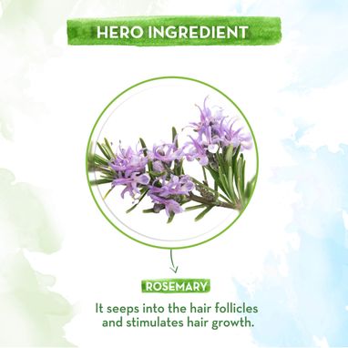 rosemary essential oil price and ingredients