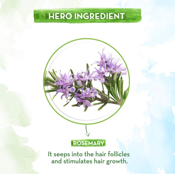 rosemary essential oil price and ingredients
