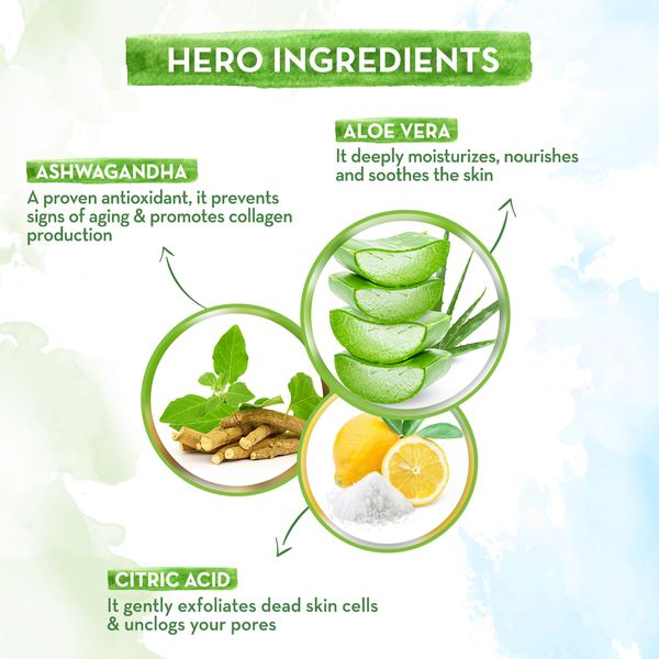Aloe Vera Night Cream with Ashwagandha - 50g | Mamaearth