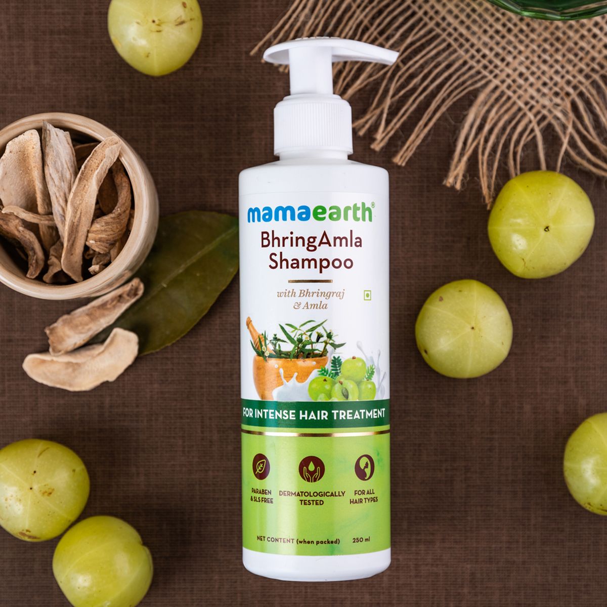 Buy Mamaearth Tea Tree Anti Dandruff Shampoo With Ginger Oil 250ml Online  in India  Pixies