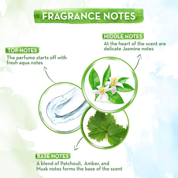 first Rain Perfume notes