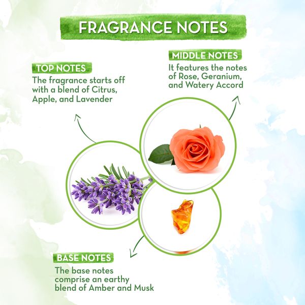 citrus floral perfume