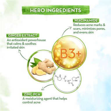 key ingredients Skin Correct Face Serum with Niacinamide 