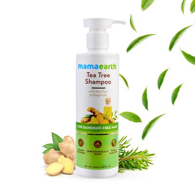 mamaearth tea tree shampoo, best shampoo for dandruff