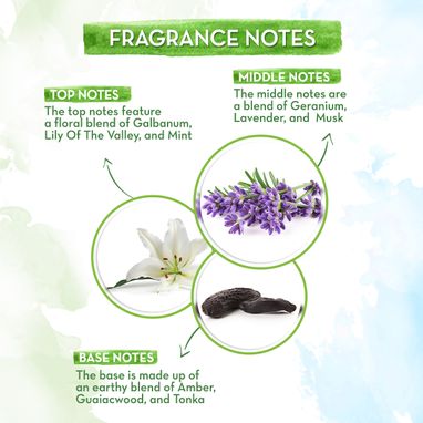 perfume white musk notes