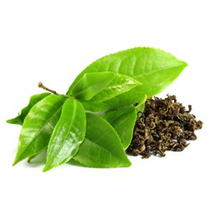 Green Tea Skin Products with Retinol