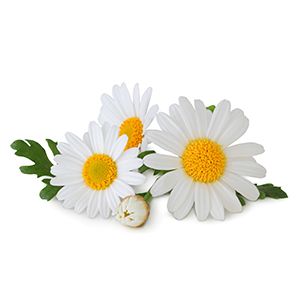 Mamaearth Bye Bye Wrinkles Face Cream with Glycerin