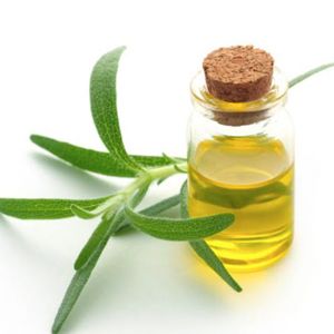 Tea tree hair oil booster with rosemary leaf oil