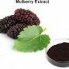 Neem Face Mask with Mulberry Extract