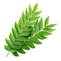 Curry Leaves for hair