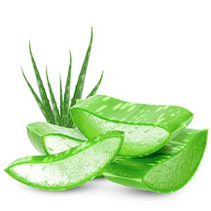 Baby cleaning wipe aloe vera