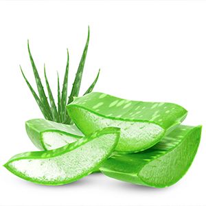water based skin care products like Hydration Skin Care with Aloe Vera