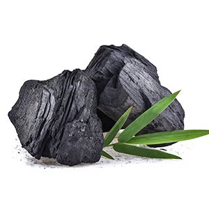 charcoal bathing bar