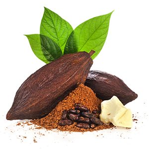 coco Nourishing bathing soap