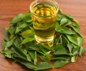 Curry Leaves Oil