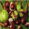 Mamaearth happy heads natural protein hair shampoo