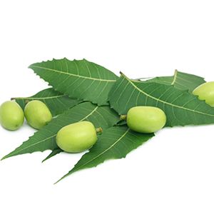 hand sanitizer with neem