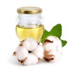 retinol serum for face with cotton seed oil