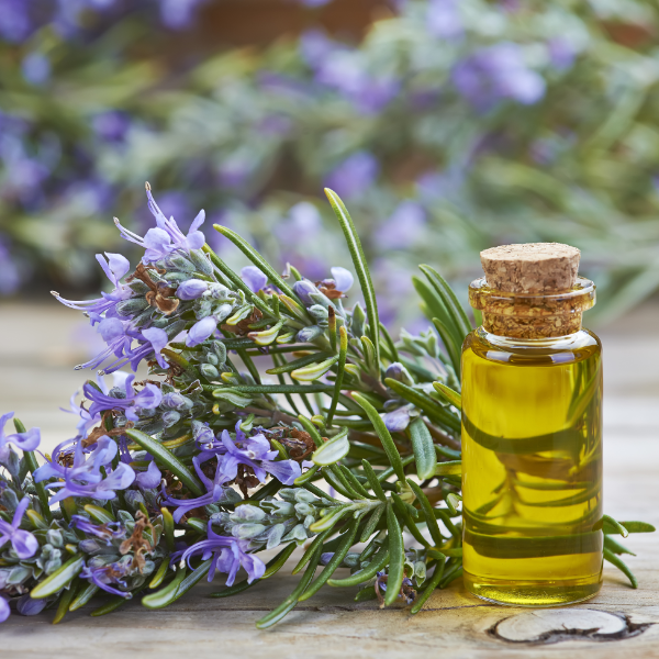 Argan Care Range Products with Rosemary Oil