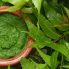 Neem