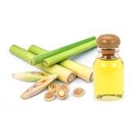 Mamaearth Winter Kit for Babies with Lemongrass oil