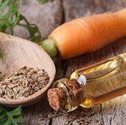 Carrot Seed Oil