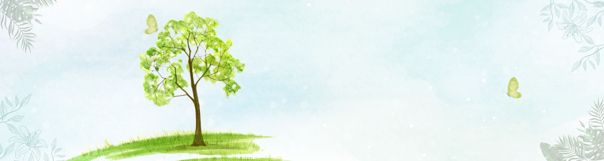 Mama Earth coupons Banner